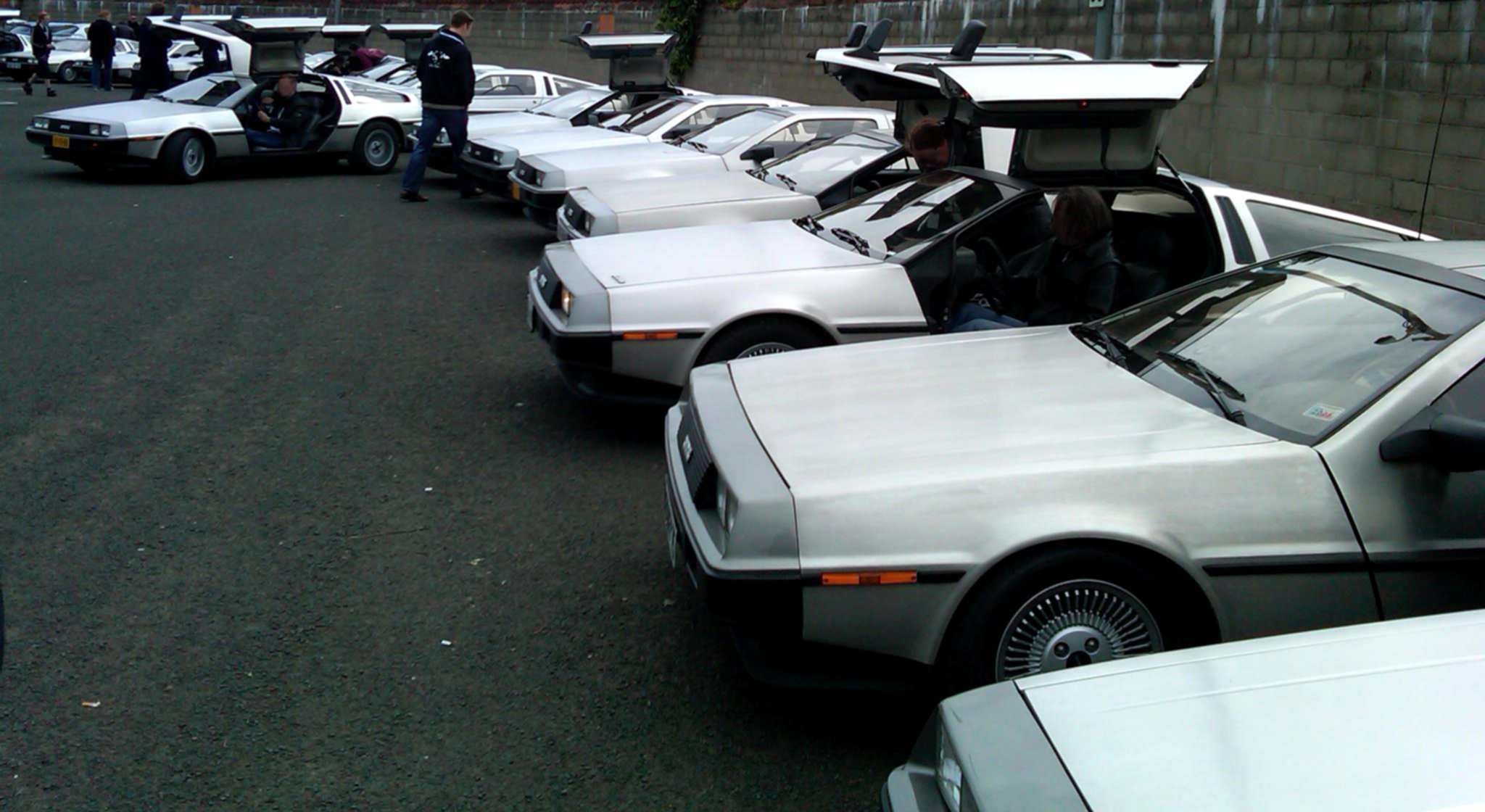 Many DeLoeans parked on display at a car show.